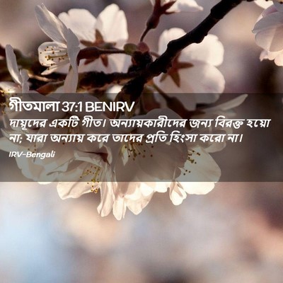 Picture 02 - গীতমালা 37:1 BENIRV - দায়ূদের একটি - Bible Verse Picture