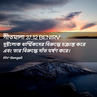 Picture 02 - গীতমালা 37:12 BENIRV - দুষ্টলোক - Bible Verse Picture