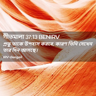 Picture 02 - গীতমালা 37:13 BENIRV - প্রভু তাকে উপহাস - Bible Verse Picture