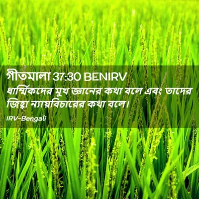 Picture 02 - গীতমালা 37:30 BENIRV - ধার্ম্মিকদের মুখ - Bible Verse Picture