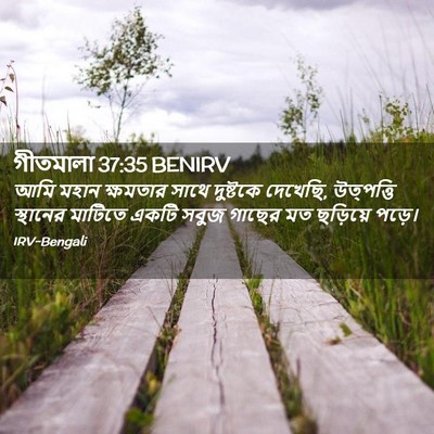 Picture 02 - গীতমালা 37:35 BENIRV - আমি মহান ক্ষমতার - Bible Verse Picture
