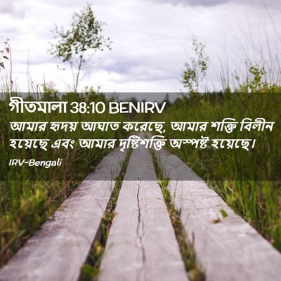 Picture 02 - গীতমালা 38:10 BENIRV - আমার হৃদয় আঘাত - Bible Verse Picture