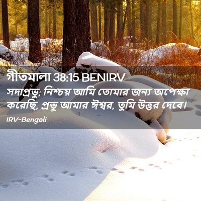 Picture 02 - গীতমালা 38:15 BENIRV - সদাপ্রভুু; - Bible Verse Picture