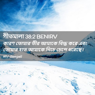 Picture 02 - গীতমালা 38:2 BENIRV - কারণ তোমার তীর - Bible Verse Picture