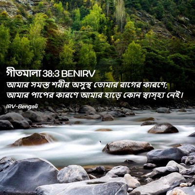 Picture 02 - গীতমালা 38:3 BENIRV - আমার সমস্ত শরীর - Bible Verse Picture