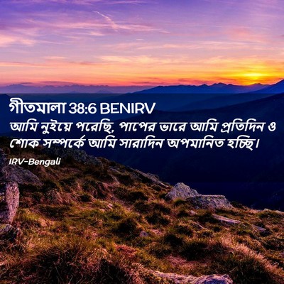 Picture 02 - গীতমালা 38:6 BENIRV - আমি নুইয়ে পরেছি, - Bible Verse Picture
