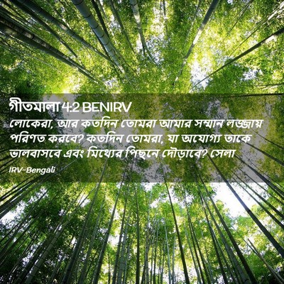 Picture 02 - গীতমালা 4:2 BENIRV - লোকেরা, আর কতদিন - Bible Verse Picture