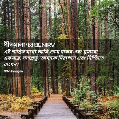 Picture 02 - গীতমালা 4:8 BENIRV - এই শান্তির মধ্যে - Bible Verse Picture