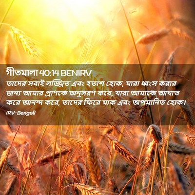 Picture 02 - গীতমালা 40:14 BENIRV - তাদের সবাই লজ্জিত - Bible Verse Picture