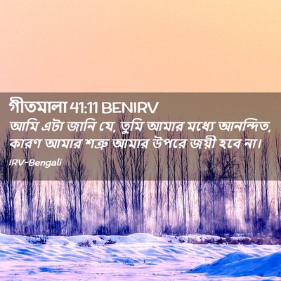 Picture 02 - গীতমালা 41:11 BENIRV - আমি এটা জানি যে, - Bible Verse Picture