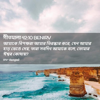 Picture 02 - গীতমালা 42:10 BENIRV - আমাকে বিপক্ষরা - Bible Verse Picture
