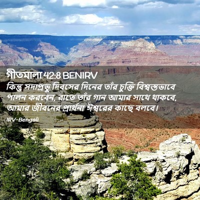 Picture 02 - গীতমালা 42:8 BENIRV - কিন্তু সদাপ্রভুু - Bible Verse Picture
