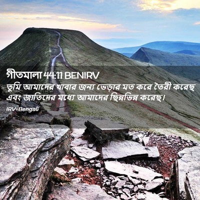 Picture 02 - গীতমালা 44:11 BENIRV - তুমি আমাদের খাবার - Bible Verse Picture