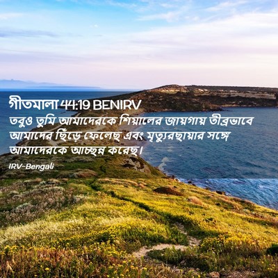 Picture 02 - গীতমালা 44:19 BENIRV - তবুও তুমি - Bible Verse Picture