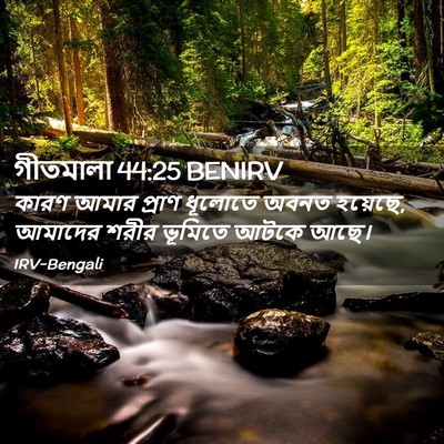 Picture 02 - গীতমালা 44:25 BENIRV - কারণ আমার প্রাণ - Bible Verse Picture