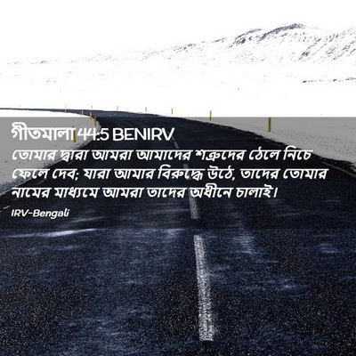Picture 02 - গীতমালা 44:5 BENIRV - তোমার দ্বারা আমরা - Bible Verse Picture