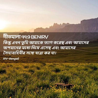 Picture 02 - গীতমালা 44:9 BENIRV - কিন্তু এখন তুমি - Bible Verse Picture