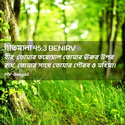 Picture 02 - গীতমালা 45:3 BENIRV - বীর, তোমার তরোয়াল - Bible Verse Picture