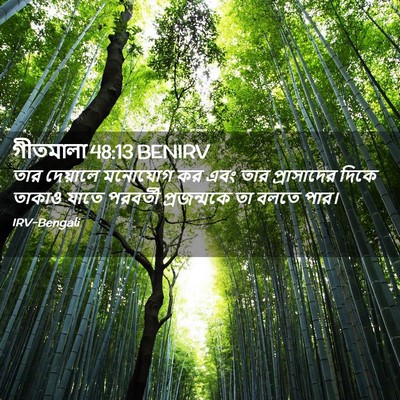 Picture 02 - গীতমালা 48:13 BENIRV - তার দেয়ালে - Bible Verse Picture