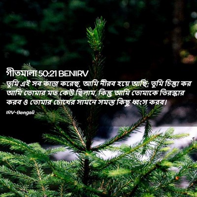 Picture 02 - গীতমালা 50:21 BENIRV - তুমি এই সব কাজ - Bible Verse Picture