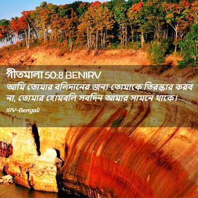 Picture 02 - গীতমালা 50:8 BENIRV - আমি তোমার - Bible Verse Picture
