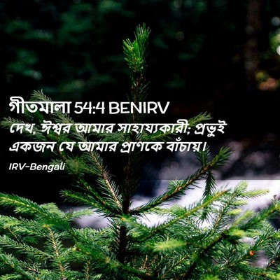 Picture 02 - গীতমালা 54:4 BENIRV - দেখ, ঈশ্বর আমার - Bible Verse Picture