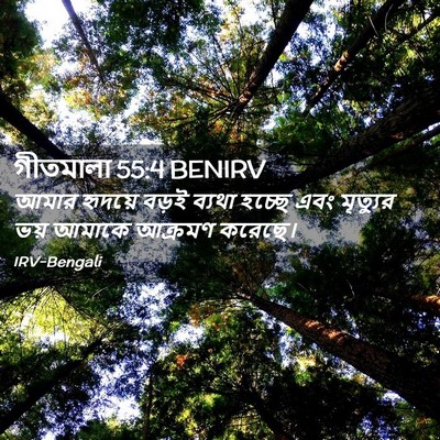 Picture 02 - গীতমালা 55:4 BENIRV - আমার হৃদয়ে বড়ই - Bible Verse Picture