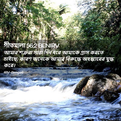 Picture 02 - গীতমালা 56:2 BENIRV - আমার শত্রুরা সারা - Bible Verse Picture