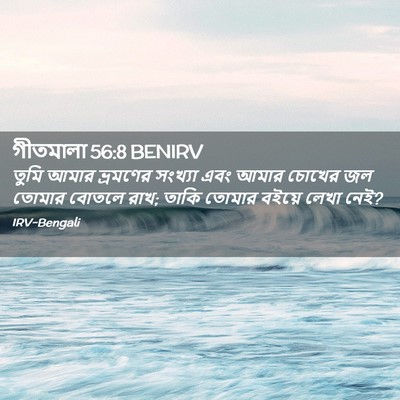 Picture 02 - গীতমালা 56:8 BENIRV - তুমি আমার ভ্রমণের - Bible Verse Picture