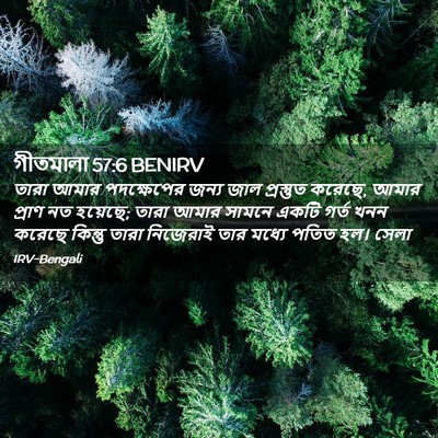 Picture 02 - গীতমালা 57:6 BENIRV - তারা আমার - Bible Verse Picture