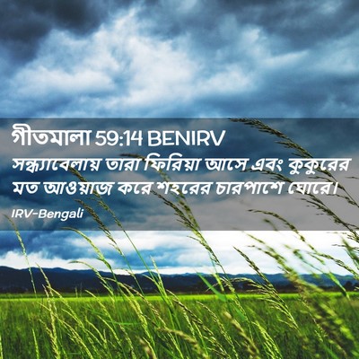 Picture 02 - গীতমালা 59:14 BENIRV - সন্ধ্যাবেলায় - Bible Verse Picture