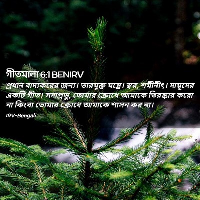 Picture 02 - গীতমালা 6:1 BENIRV - প্রধান বাদ্যকরের - Bible Verse Picture