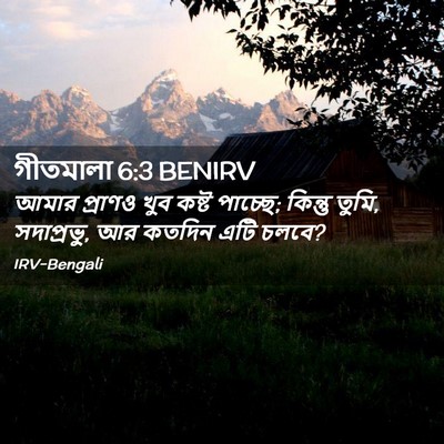 Picture 02 - গীতমালা 6:3 BENIRV - আমার প্রাণও খুব - Bible Verse Picture