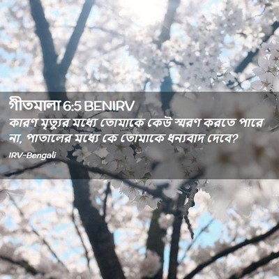 Picture 02 - গীতমালা 6:5 BENIRV - কারণ মৃত্যুর - Bible Verse Picture