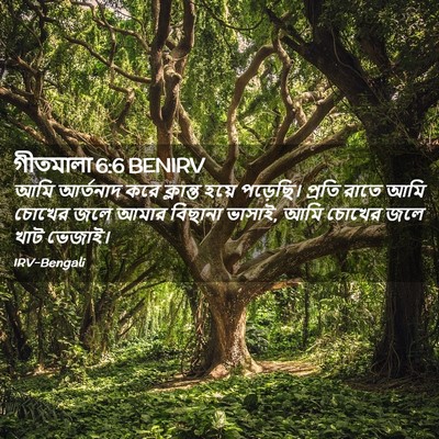 Picture 02 - গীতমালা 6:6 BENIRV - আমি আর্তনাদ করে - Bible Verse Picture