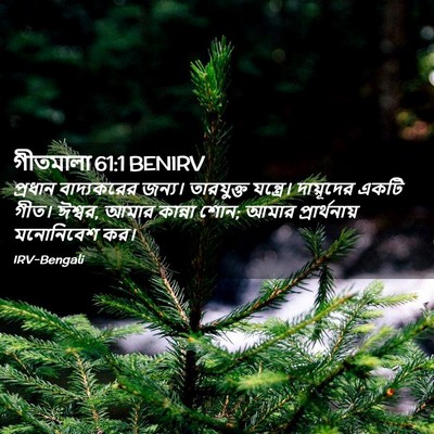 Picture 02 - গীতমালা 61:1 BENIRV - প্রধান বাদ্যকরের - Bible Verse Picture
