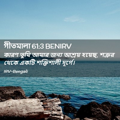 Picture 02 - গীতমালা 61:3 BENIRV - কারণ তুমি আমার - Bible Verse Picture