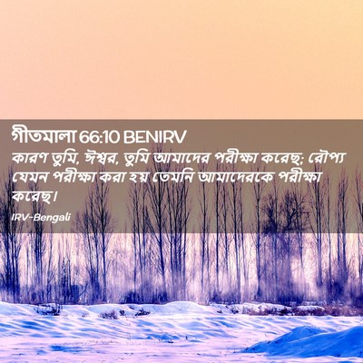Picture 02 - গীতমালা 66:10 BENIRV - কারণ তুমি, ঈশ্বর, - Bible Verse Picture