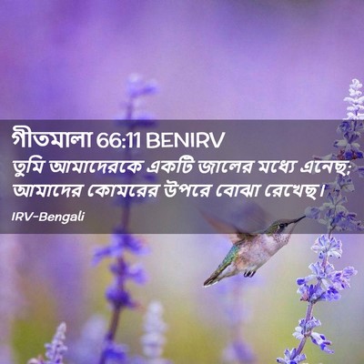 Picture 02 - গীতমালা 66:11 BENIRV - তুমি আমাদেরকে - Bible Verse Picture