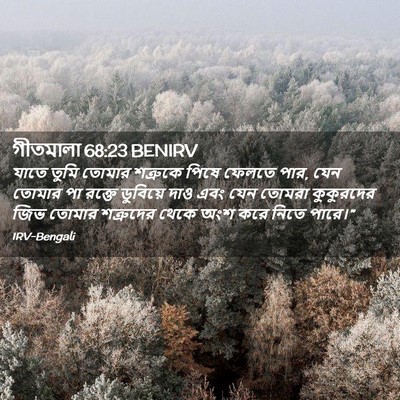 Picture 02 - গীতমালা 68:23 BENIRV - যাতে তুমি তোমার - Bible Verse Picture