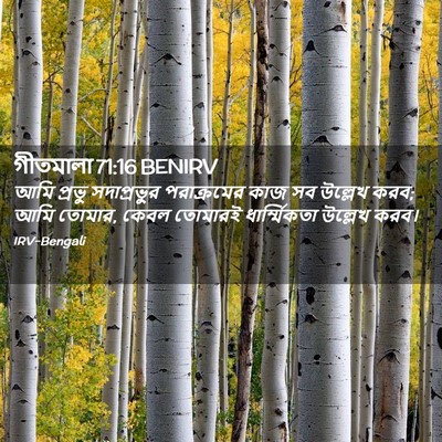 Picture 02 - গীতমালা 71:16 BENIRV - আমি প্রভু - Bible Verse Picture