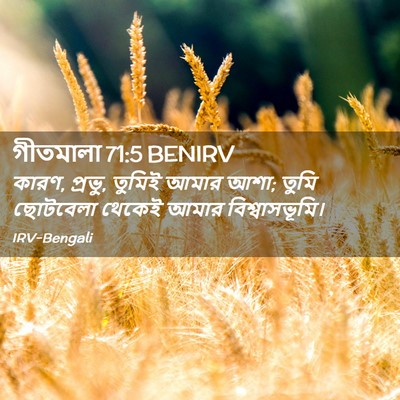 Picture 02 - গীতমালা 71:5 BENIRV - কারণ, প্রভু, তুমিই - Bible Verse Picture