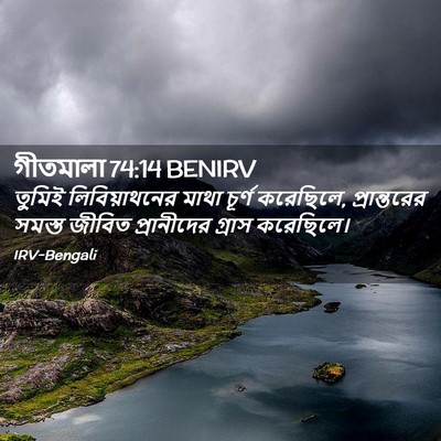 Picture 02 - গীতমালা 74:14 BENIRV - তুমিই লিবিয়াথনের - Bible Verse Picture