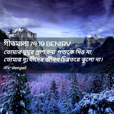 Picture 02 - গীতমালা 74:19 BENIRV - তোমার ঘুঘুর প্রাণ - Bible Verse Picture