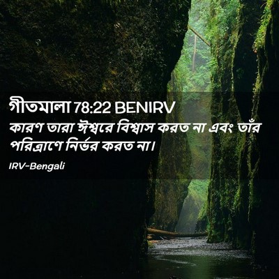 Picture 02 - গীতমালা 78:22 BENIRV - কারণ তারা ঈশ্বরে - Bible Verse Picture
