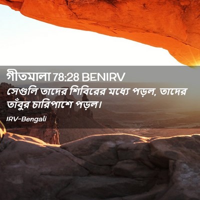 Picture 02 - গীতমালা 78:28 BENIRV - সেগুলি তাদের - Bible Verse Picture