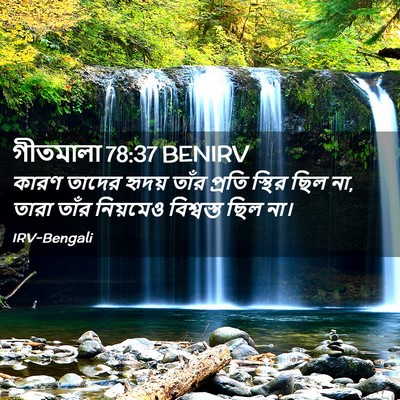 Picture 02 - গীতমালা 78:37 BENIRV - কারণ তাদের হৃদয় - Bible Verse Picture