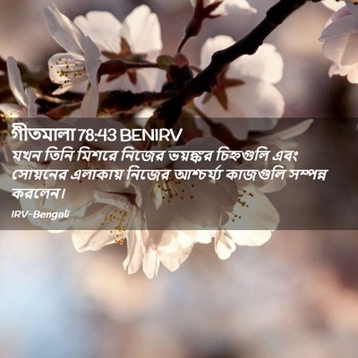 Picture 02 - গীতমালা 78:43 BENIRV - যখন তিনি মিশরে - Bible Verse Picture