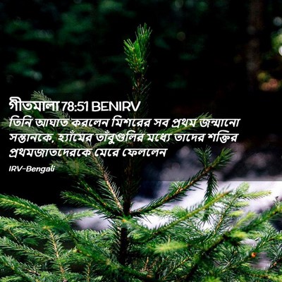 Picture 02 - গীতমালা 78:51 BENIRV - তিনি আঘাত করলেন - Bible Verse Picture