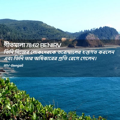Picture 02 - গীতমালা 78:62 BENIRV - তিনি নিজের - Bible Verse Picture